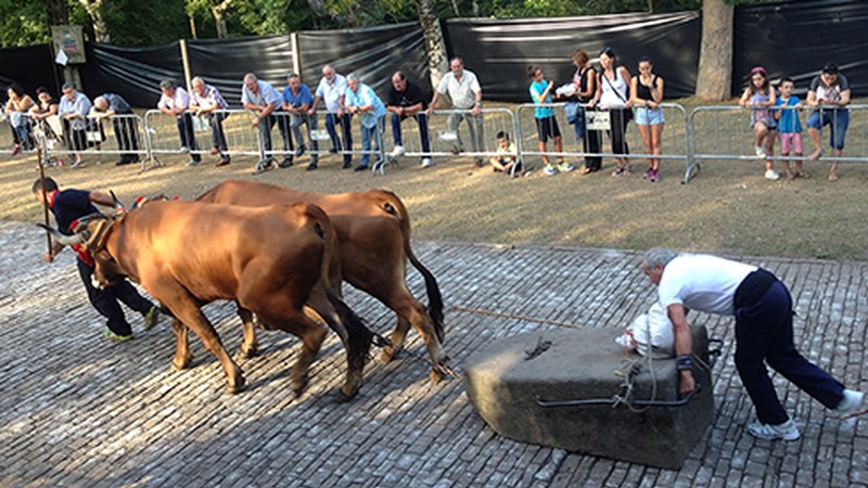 Jaiak beteko du Arrate berriz ere domekan, Kofradixa Egunean