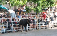 Jaiak eztanda egin du San Juan aurreko asteburuan