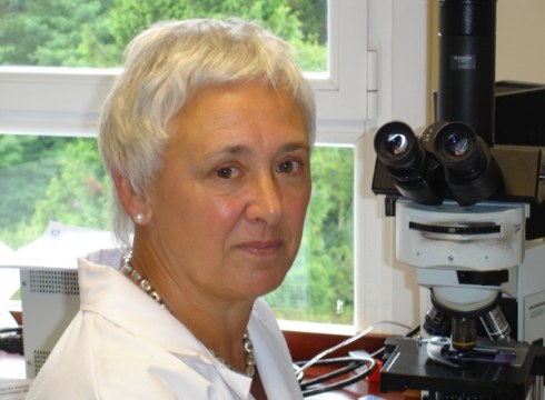 Jaio aurretiko malformazioen detekzioari buruzko hitzaldia gaur Portalean