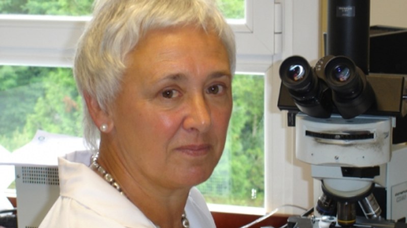 Jaio aurretiko malformazioen detekzioari buruzko hitzaldia gaur Portalean