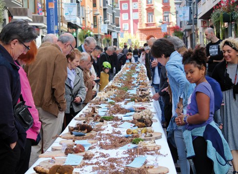 Jardunaldi Mikologikoek hartuko dute asteburua