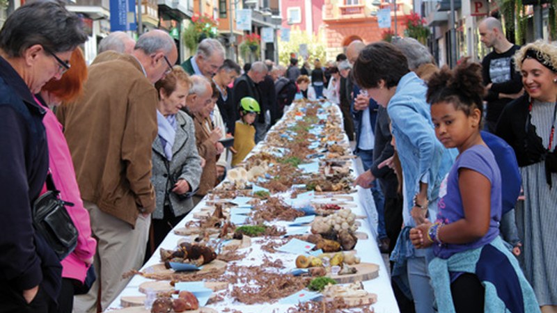 Jardunaldi Mikologikoek hartuko dute asteburua