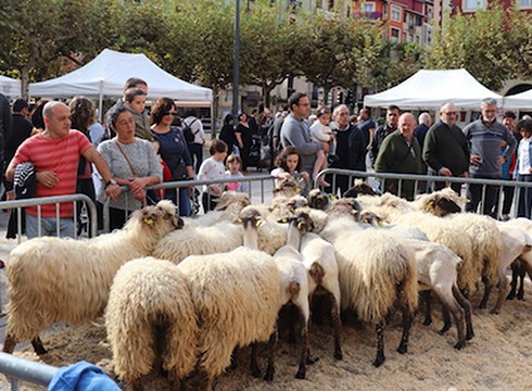 Jendeak interes handiarekin jarraitu zituen Debabarreneko Gaztaren Asteko jarduerak
