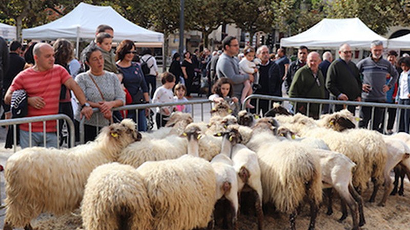 Jendeak interes handiarekin jarraitu zituen Debabarreneko Gaztaren Asteko jarduerak