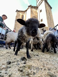 Jendetza ibili da aurtengo San Andres Azokan