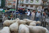 Jendetza ibili da aurtengo San Andres Azokan