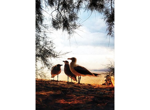 Jose Mari Fernandez Basterretxearen argazki-erakusketa zabalduko dute gaur Untzagan