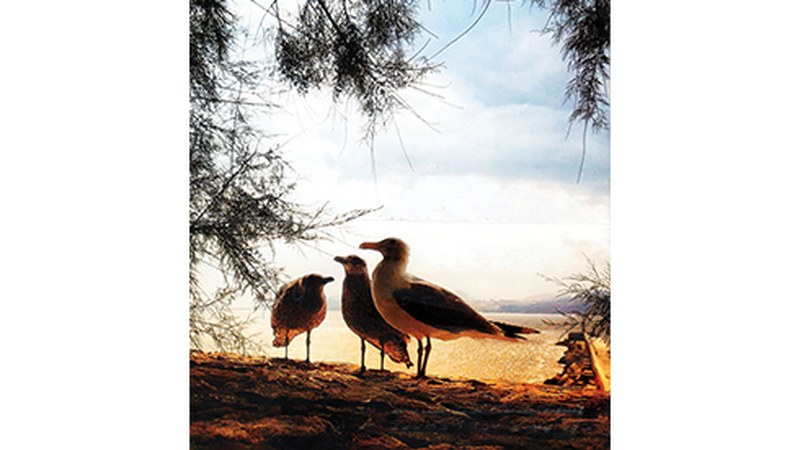 Jose Mari Fernandez Basterretxearen argazki-erakusketa zabalduko dute gaur Untzagan