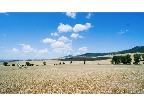 Juan Palacios zuzendariak ‘Meseta’ pelikula aurkeztuko du asteburuan Coliseoan