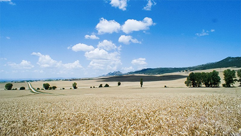 Juan Palacios zuzendariak ‘Meseta’ pelikula aurkeztuko du asteburuan Coliseoan