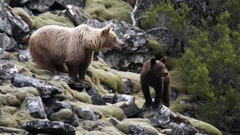 “Kantaurialdea” filma euskeraz estreinatuko dute gaur Coliseo antzokian