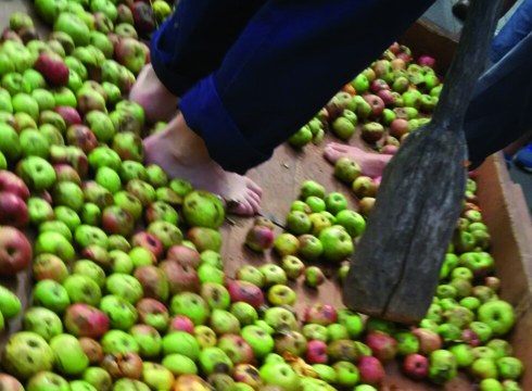 Kirikoketa eta sagar-dastaketa, aurtengo berrikuntzak Sagardo Egunean