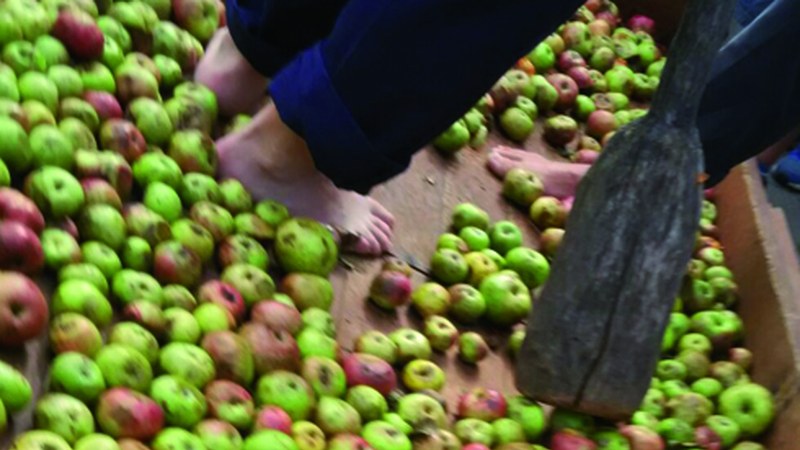 Kirikoketa eta sagar-dastaketa, aurtengo berrikuntzak Sagardo Egunean