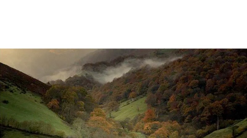 Klub Deportiboko argazkilarien "Udazkena" erakusketa zabalduko dute gaur Portalean