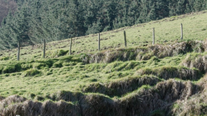 "Koko-dantzak eta koko-eskea Otaola-Kiñarraga auzoko baserrietan" (Fernando Retolaza)