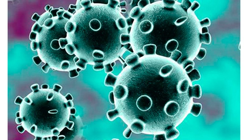 Koronabirus kasu berri bat antzeman dute Eibarren