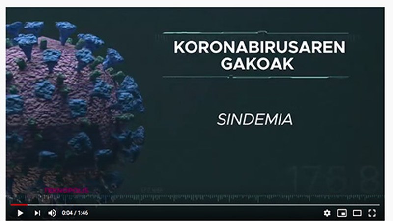 Koronabirusaren ondorioz krisi ezberdinen arteko batura egoera bizi dugula azaldu du Ana Galarragak