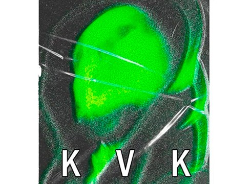 Kvalvikaren azken diskoa entzungai dago