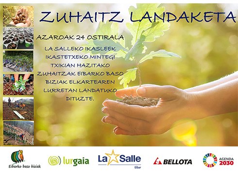 La Salleko ikasleek eskolan ereindako zuhaitzak landatuko dituzte barixakuan