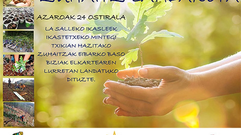 La Salleko ikasleek eskolan ereindako zuhaitzak landatuko dituzte barixakuan