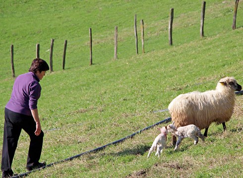 Landa eremuko emakumeen arteko elkar-ezagutza bultzatzeko sormen lehiaketa antolatu du Landaola Federazioak
