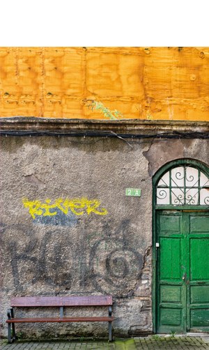 "Laster desagertuko den herriko bazterra" (Pedro Arriola)