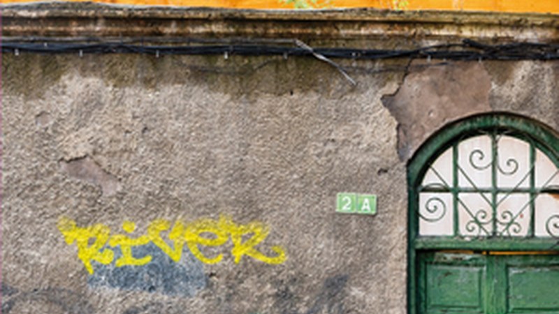 "Laster desagertuko den herriko bazterra" (Pedro Arriola)