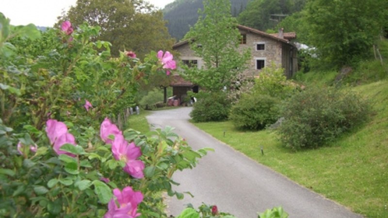 Lasturren ordu batzutan artzai izateko aukera