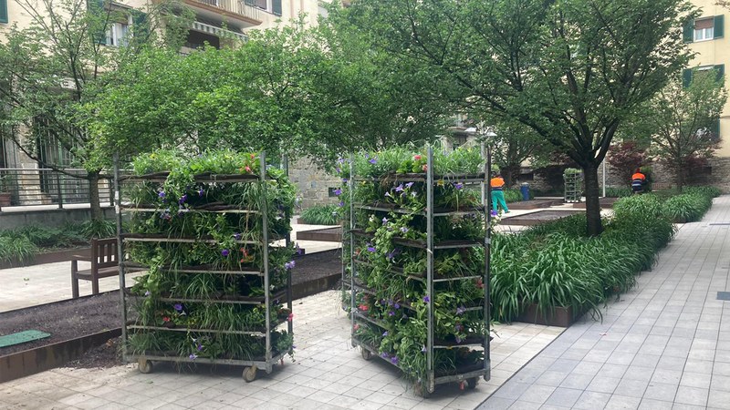 Lorategietako landareak banatuko ditu Udalak  eguaztenean