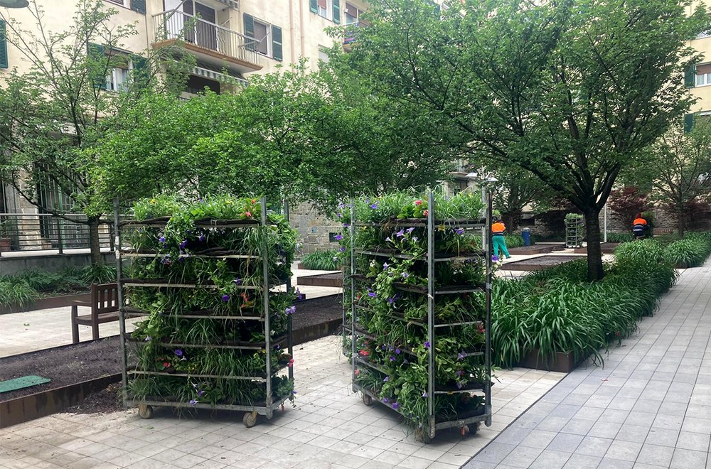 Lorategietatik atera dituzten neguko 700 bat lore doan emango ditu Udalak eguaztenean