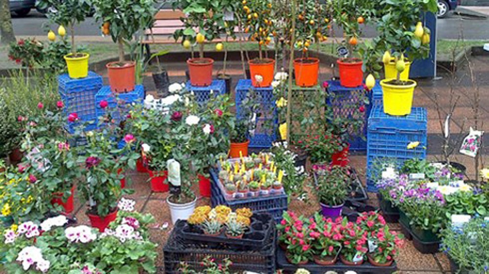 Lore, Landare eta Zuhaitz Azoka bihar goizerako Urkizu parkean