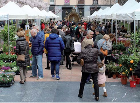Lore, Landare eta Zuhaitz Azoka hartuko du Urkizuko parkean zapatu goizean
