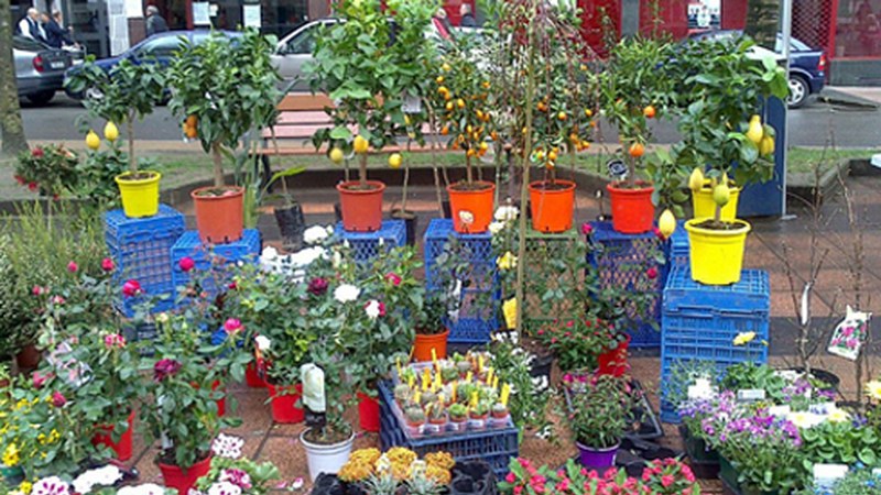 Lore, Landare eta Zuhaitzen Azoka egingo da zapatuan Urkizun