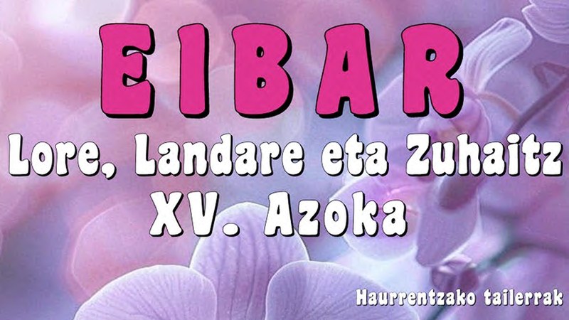 Loreen, Landareen eta Zuhaitzen XV. Azoka egingo da Urkizun zapatu honetan