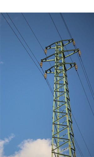 "Lurretik zerurantz" (Malen Jainaga)