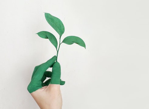 Mankomunitatea kezkatuta dago gaikako bilketako azken datuekin