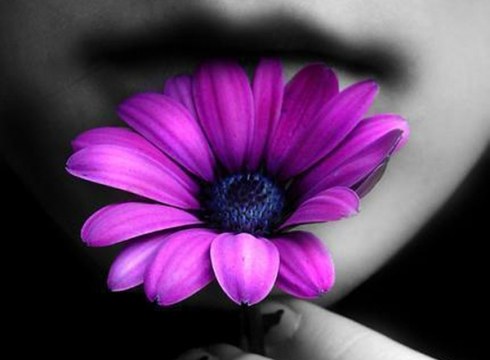 Martxoaren 8aren inguruko artelanak gaurtik aurrera Topalekuan