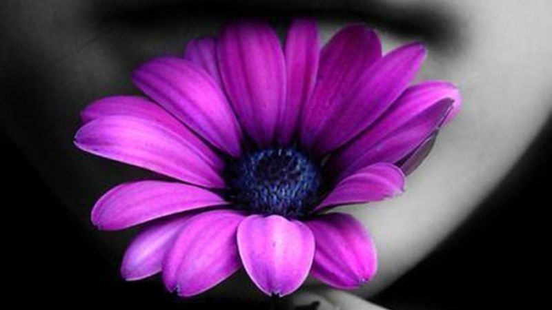 Martxoaren 8aren inguruko artelanak gaurtik aurrera Topalekuan