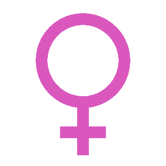 Martxoaren 8ko lehen kartel-lehiaketa Eibarren