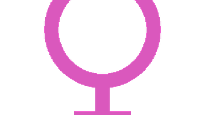 Martxoaren 8ko lehen kartel-lehiaketa Eibarren