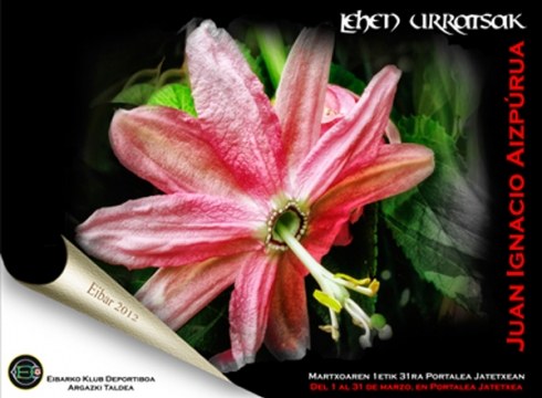 Martxorako argazki erakusketak tabernetan