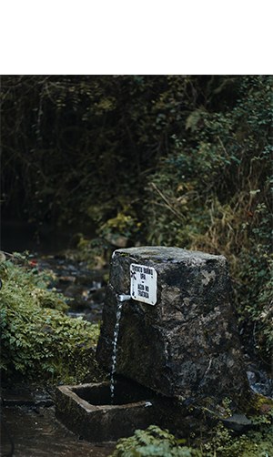 "Mendiko urak" (Malen Jainaga)