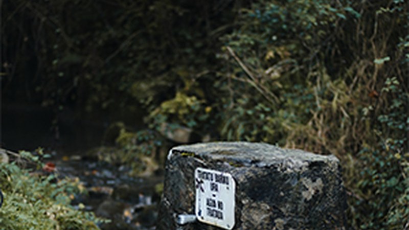 "Mendiko urak" (Malen Jainaga)