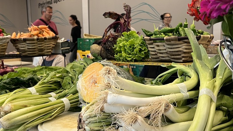 Merkatu plazako baserritarrak bizilagun berrien zain