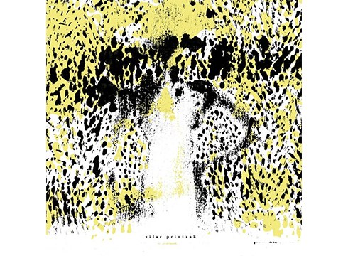 MICEk ‘Zilar printzak’ diskoa aurkeztu du