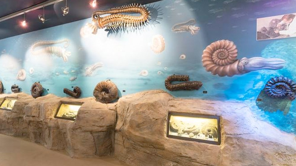 Mutrikuko Nautilus Ikasgune Geologikoa bisitatzeko aukera egongo da ia egunero