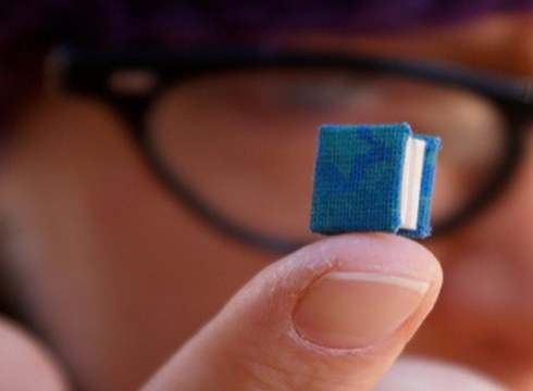 Nanoipuin gustokoena aukeratzeko botazioa zabalik dago