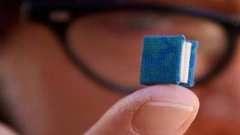 Nanoipuin gustokoena aukeratzeko botazioa zabalik dago