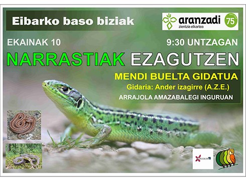 Narrastiak ezagutzera joateko mendi irteera antolatu du Eibarko Baso Biziak-ek zapaturako
