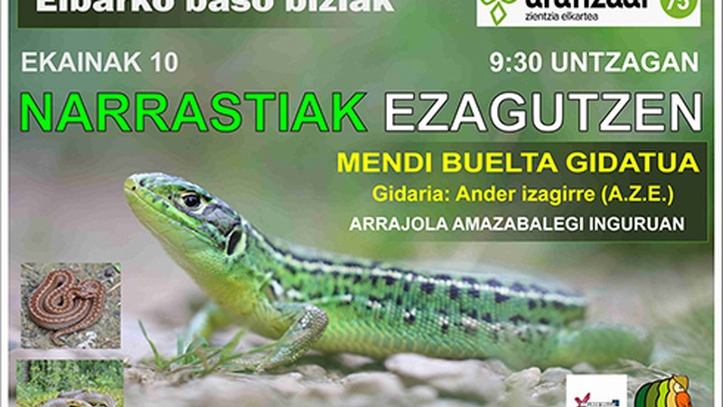 Narrastiak ezagutzera joateko mendi irteera antolatu du Eibarko Baso Biziak-ek zapaturako
